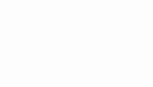 OMEGLE VIP