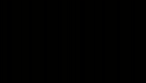 TIKTOK VIP
